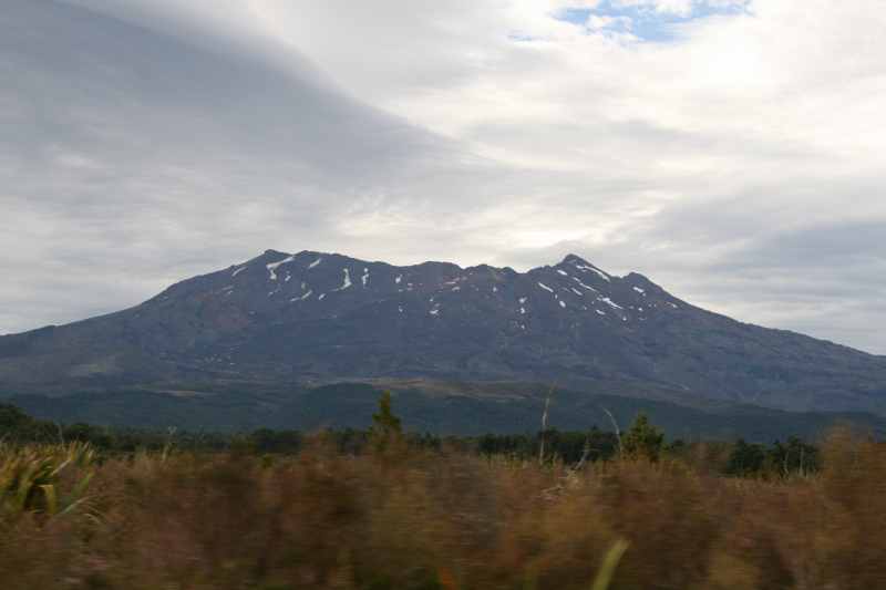 Nieuw-Zeeland 2011 - 0890